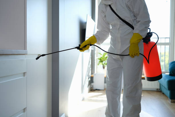 Best Mold Remediation for Schools in Hahnville, LA